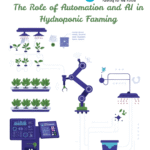 The Role of Automation and AI in Hydroponic Farming