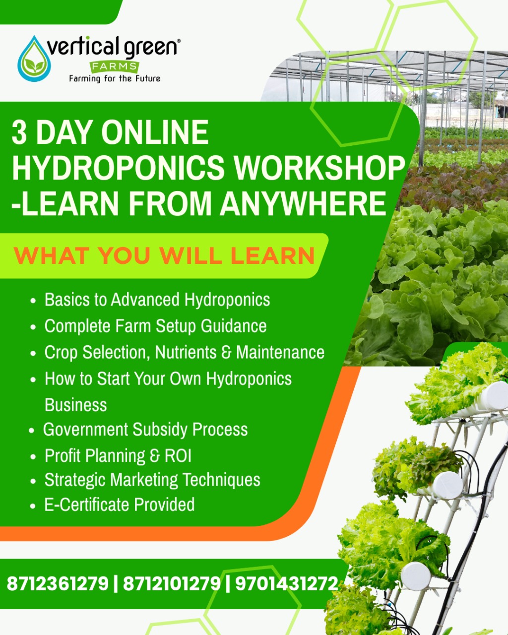 Workshop Online (Zoom/Google Meet) : Dm For registrations